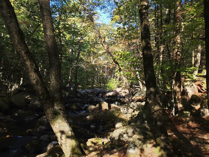 Девушка на камне у ручья