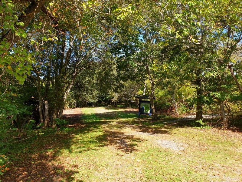 Вход в парк и информационное табло