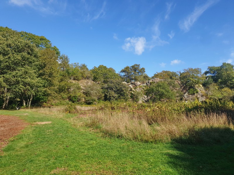 Парк Ballard Park