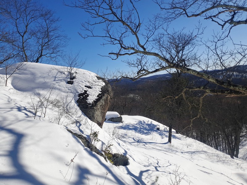 /posts/2026/02/02/harriman-state-park-snow/img/20260202_141337_1.jpg