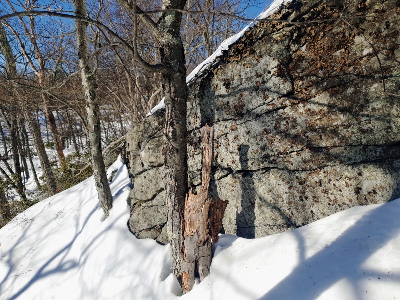 /posts/2026/02/02/harriman-state-park-snow/img/20260202_141350_1.jpg