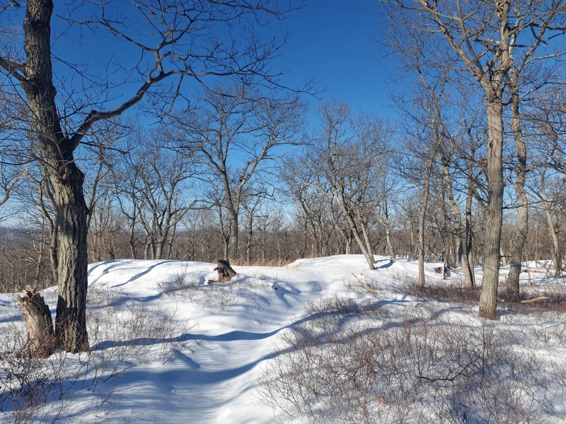 Зимняя прогулка по Harriman State Park