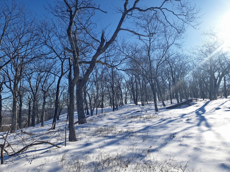 /posts/2026/02/02/harriman-state-park-snow/img/20260202_145336_1.jpg