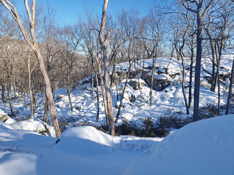 /posts/2026/02/02/harriman-state-park-snow/img/20260202_151125_1.jpg