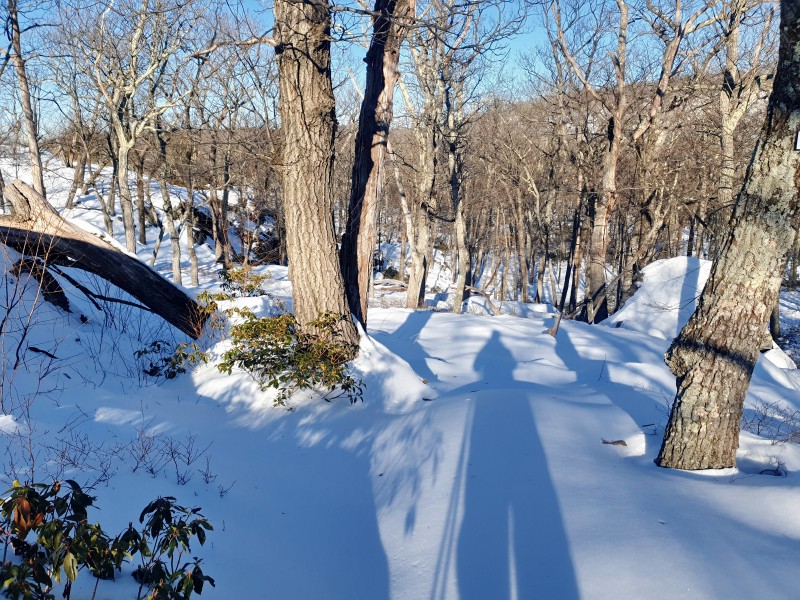 /posts/2026/02/02/harriman-state-park-snow/img/20260202_151133_1.jpg