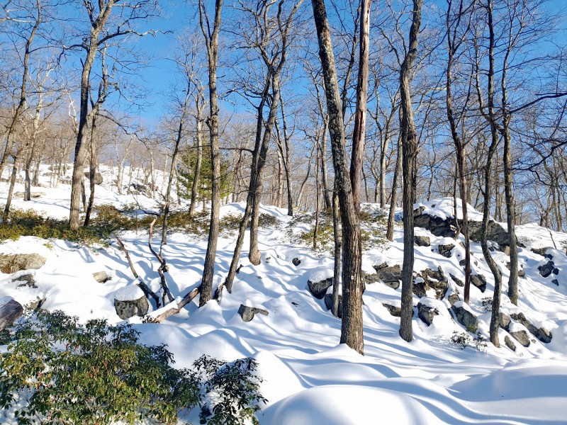 /posts/2026/02/02/harriman-state-park-snow/img/20260202_152207_1.jpg