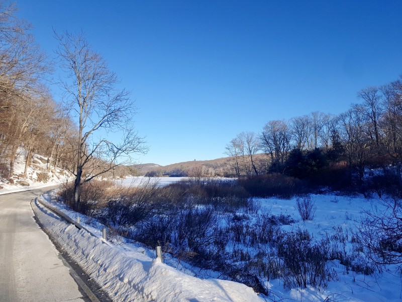 /posts/2026/02/02/harriman-state-park-snow/img/20260202_155253_1.jpg