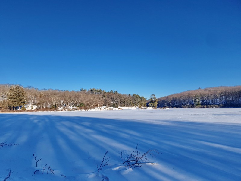 /posts/2026/02/02/harriman-state-park-snow/img/20260202_160111_1.jpg