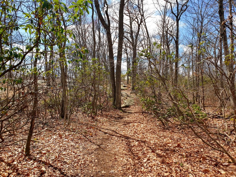 /posts/2026/04/06/harriman-state-park-26.02/img/20260406_130410.jpg