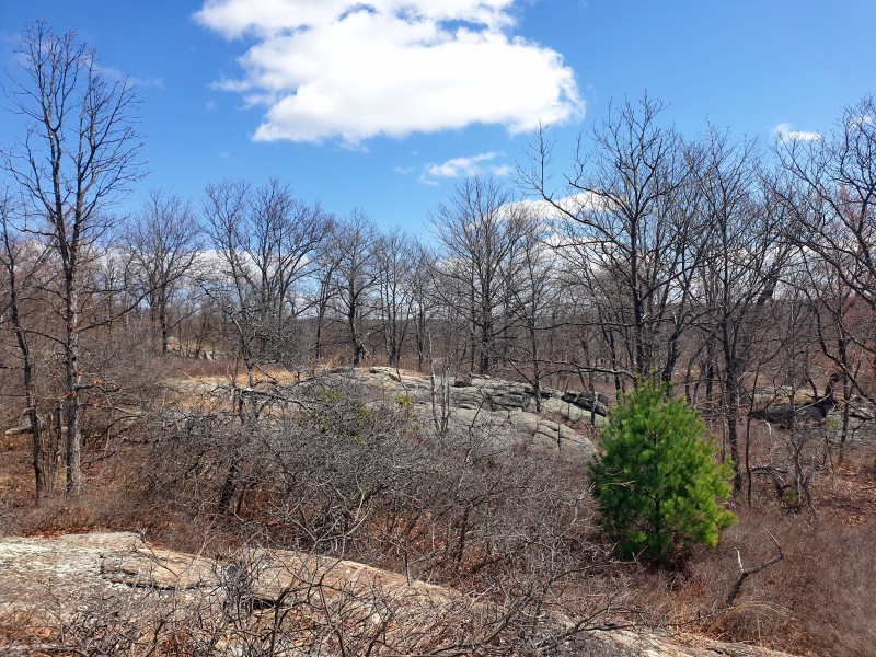 /posts/2026/04/06/harriman-state-park-26.02/img/20260406_131041.jpg