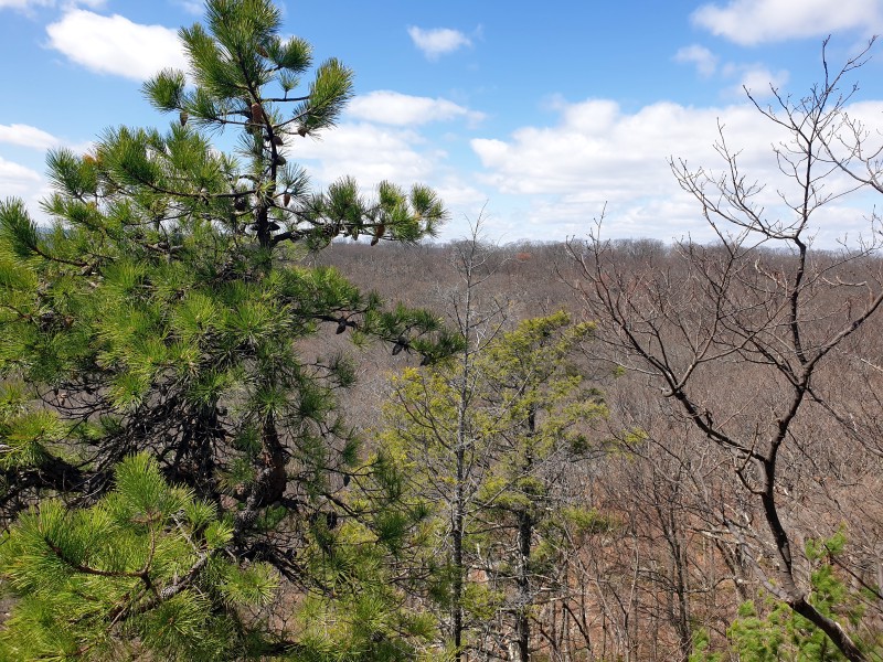 /posts/2026/04/06/harriman-state-park-26.02/img/20260406_131540.jpg