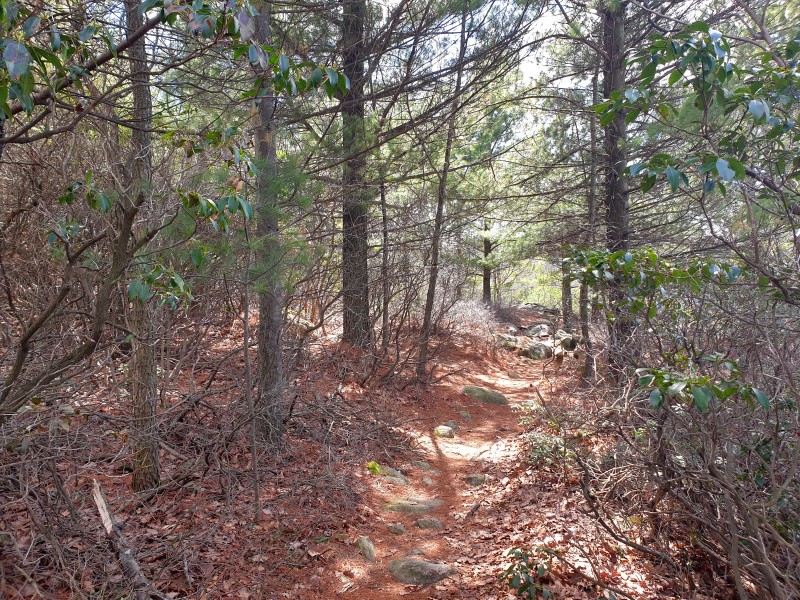 /posts/2026/04/06/harriman-state-park-26.02/img/20260406_131801.jpg