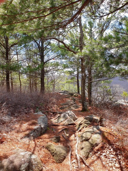 /posts/2026/04/06/harriman-state-park-26.02/img/20260406_131823.jpg