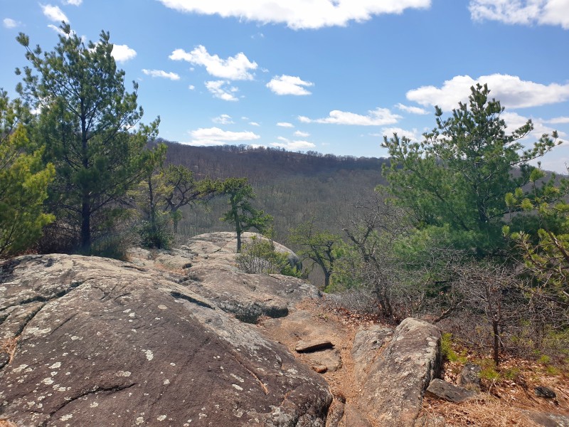 /posts/2026/04/06/harriman-state-park-26.02/img/20260406_132016.jpg