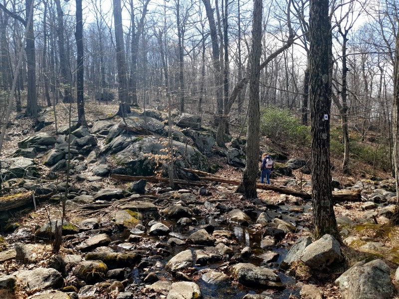 /posts/2026/04/06/harriman-state-park-26.02/img/20260406_143709_1.jpg