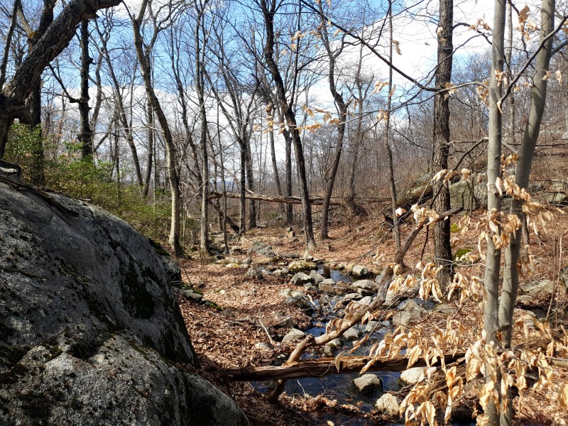 /posts/2026/04/06/harriman-state-park-26.02/img/20260406_143734_1.jpg