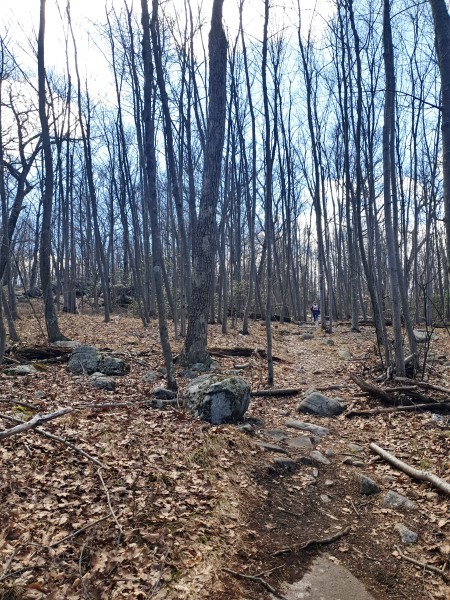 /posts/2026/04/06/harriman-state-park-26.02/img/20260406_143923_1.jpg