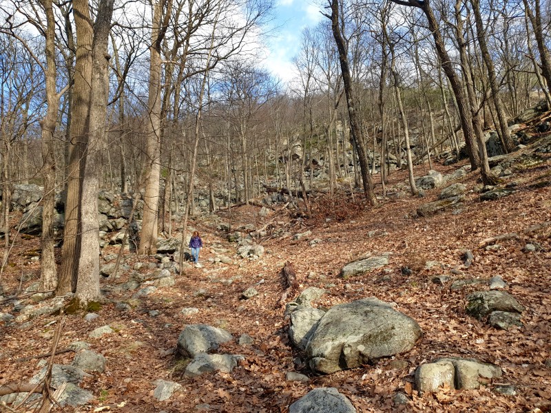 /posts/2026/04/06/harriman-state-park-26.02/img/20260406_165953_1.jpg