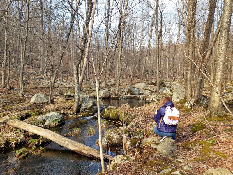 /posts/2026/04/06/harriman-state-park-26.02/img/20260406_170800_1.jpg