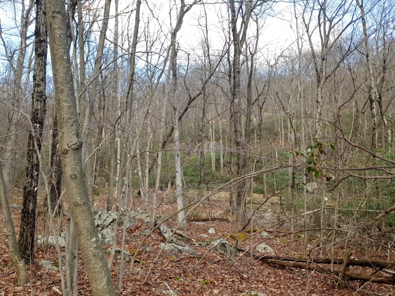 /posts/2026/04/06/harriman-state-park-26.02/img/20260406_171300_1.jpg