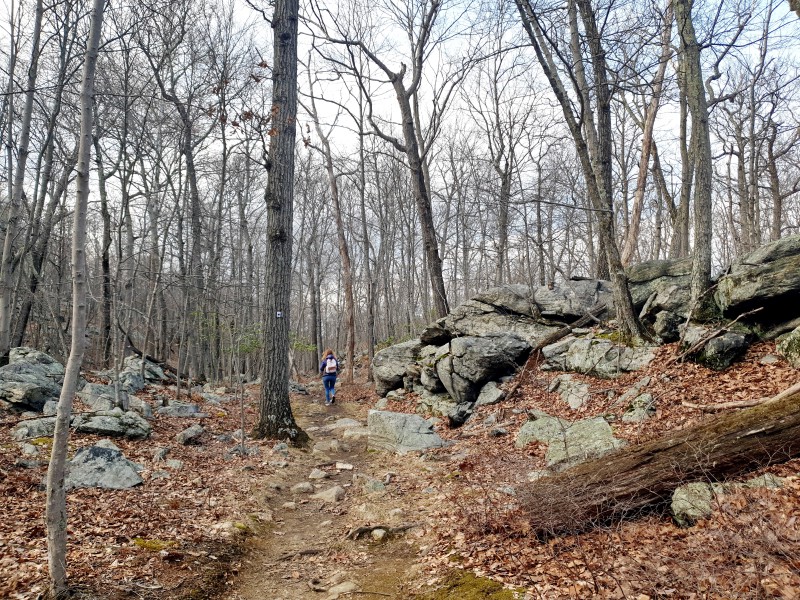 /posts/2026/04/06/harriman-state-park-26.02/img/20260406_173544_1.jpg