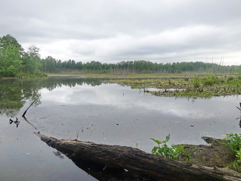 Пруд Goshen Pond