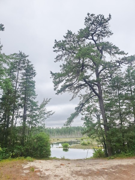 Пруд Goshen Pond