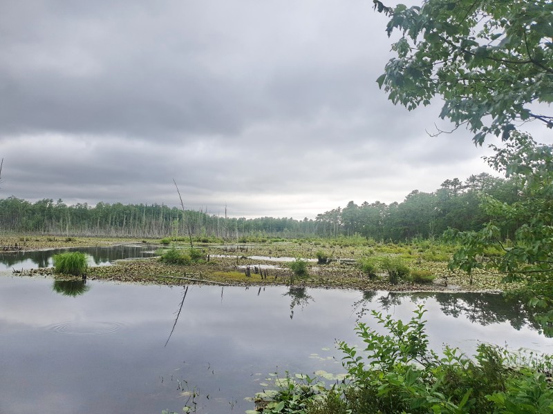 Пруд Goshen Pond